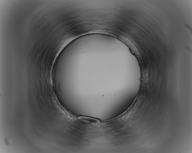 X0000097800908200803281032