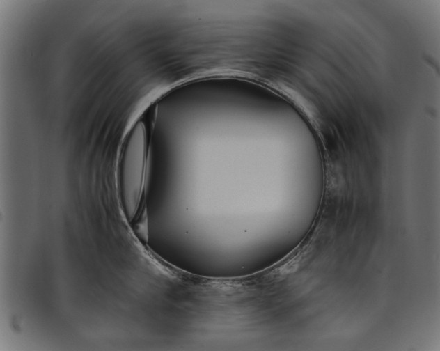 X0000097800910200803281032