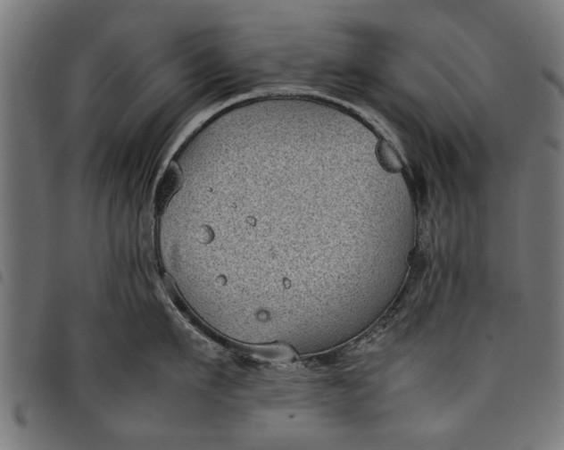 X0000097800911200803281032