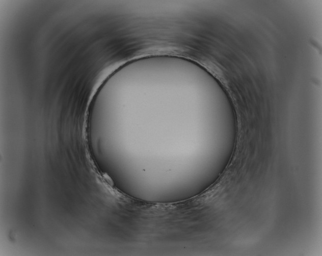 X0000097800912200803281032