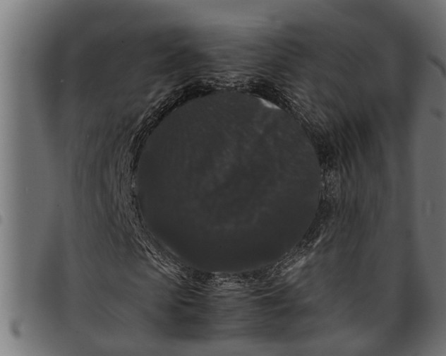 X0000097800913200803281031