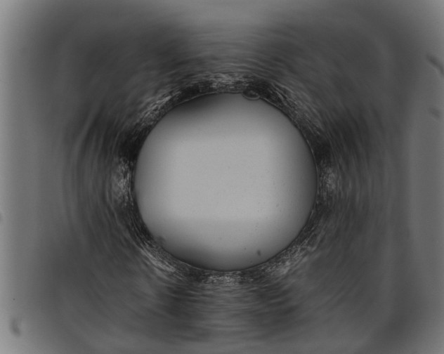 X0000097800914200803281031