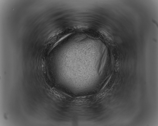 X0000097800917200803281032