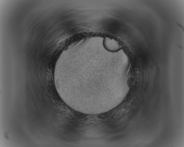 X0000097800918200803281032