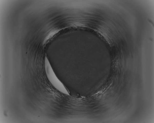 X0000097800919200803281032