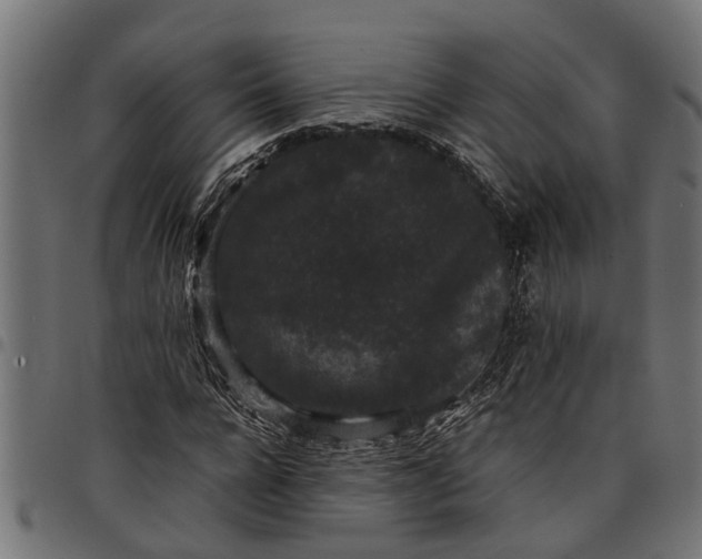 X0000097800920200803281032