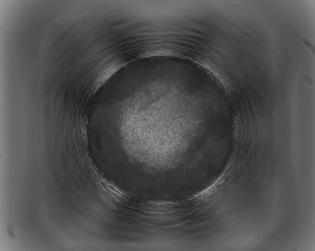 X0000097800921200803281032