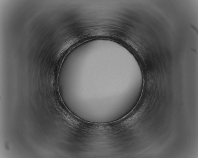 X0000097800922200803281032