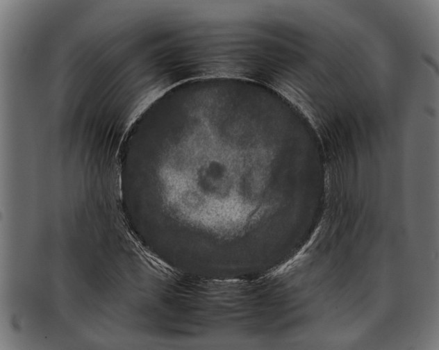 X0000097800925200803281032