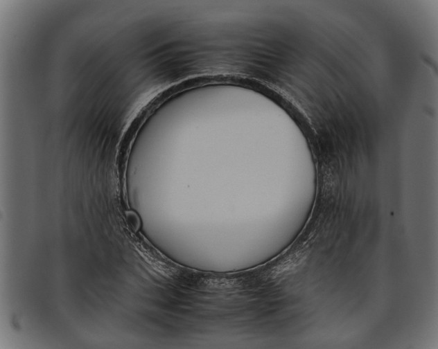 X0000097800927200803281032