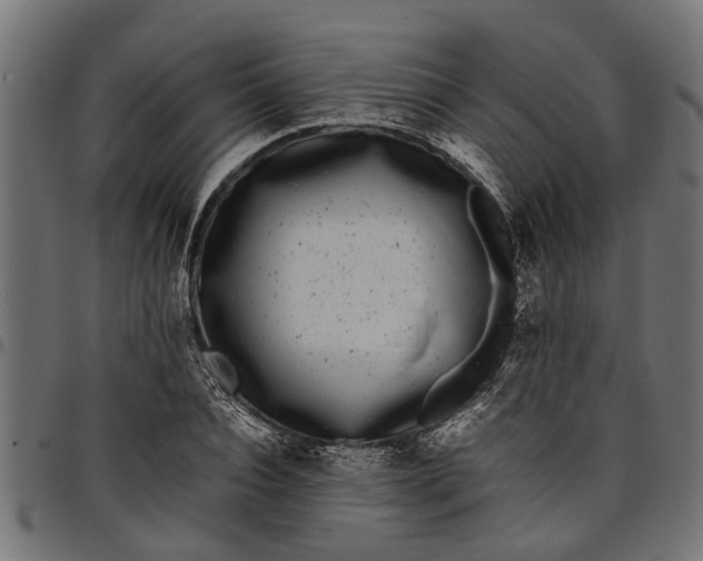 X0000097800928200803281032