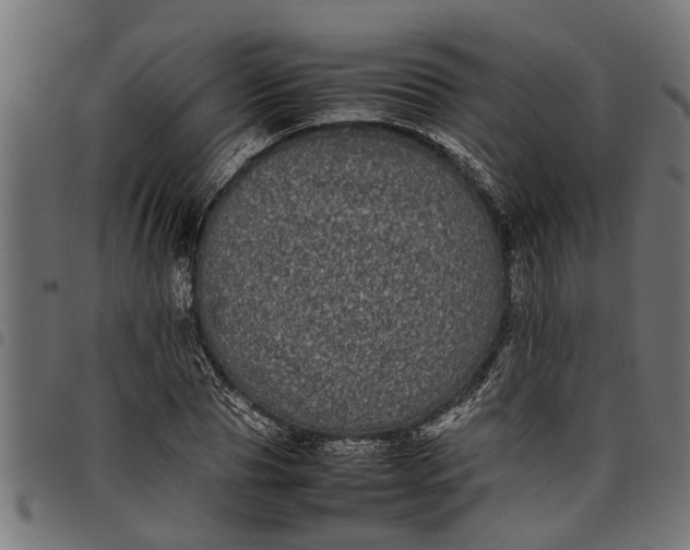 X0000097800929200803281032