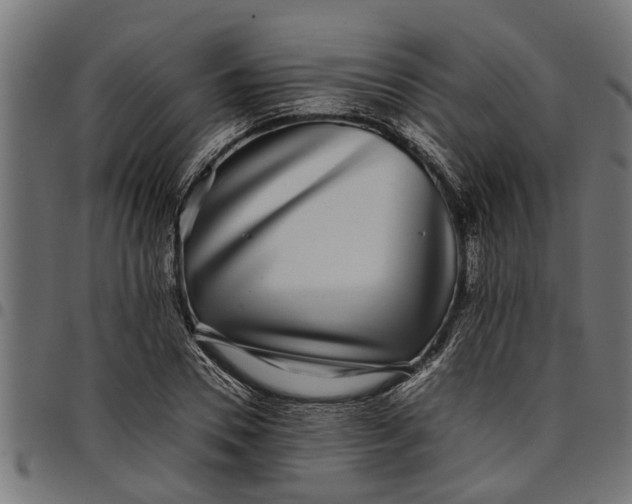 X0000097800930200803281032