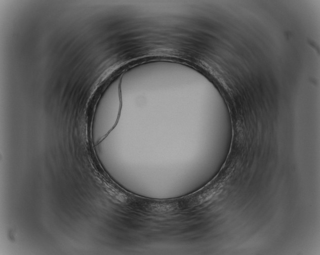 X0000097800931200803281032