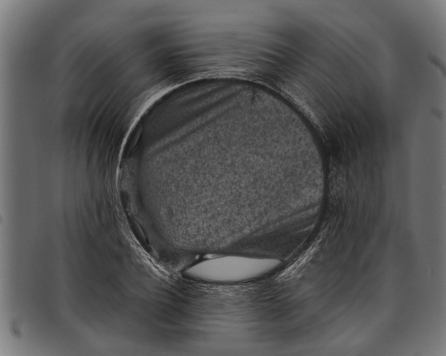 X0000097800932200803281032