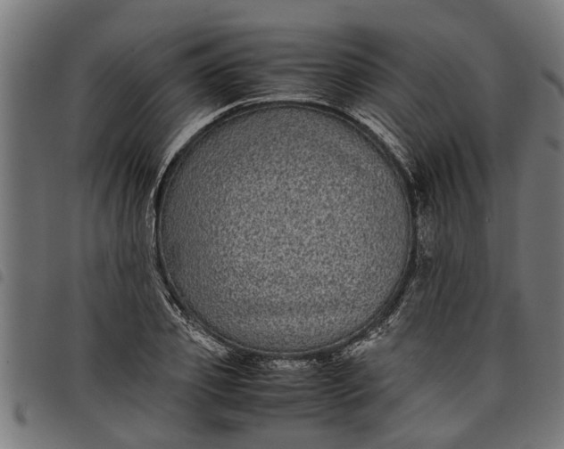 X0000097800933200803281032