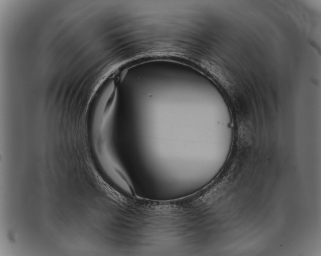 X0000097800934200803281032