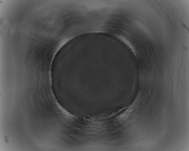 X0000097800935200803281032