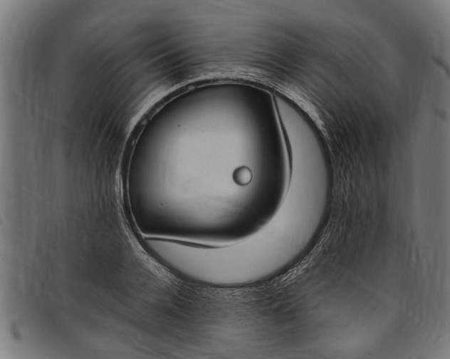 X0000097800936200803281032