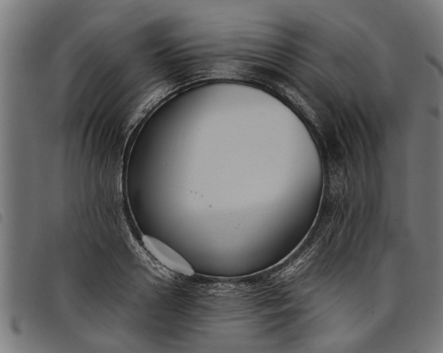 X0000097800938200803281032