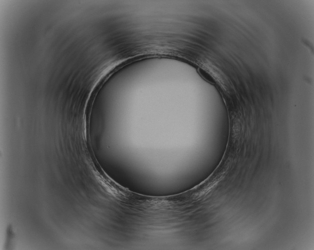 X0000097800940200803281032