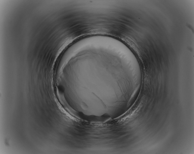 X0000097800941200803281032