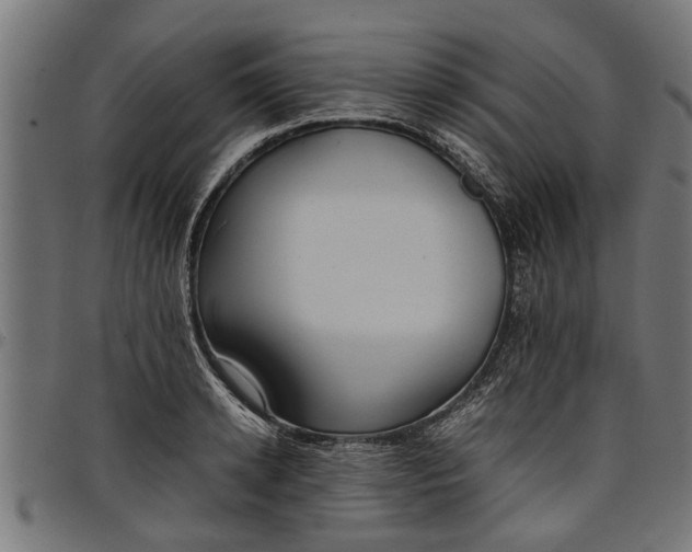 X0000097800942200803281032