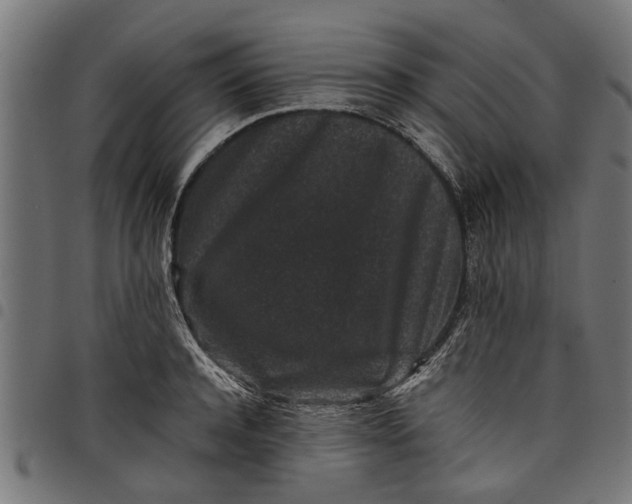 X0000097800944200803281032