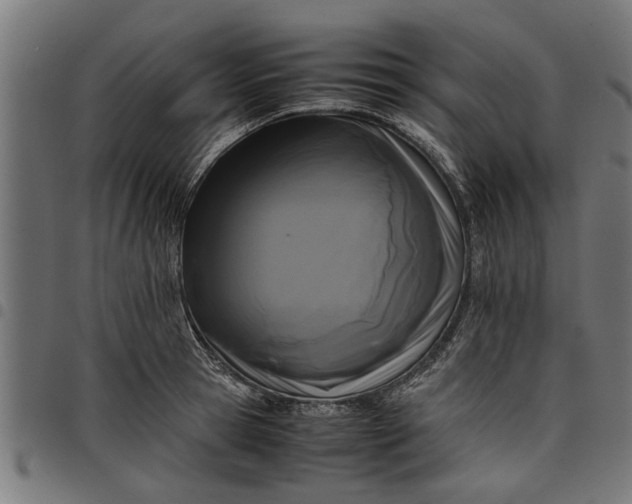 X0000097800945200803281032