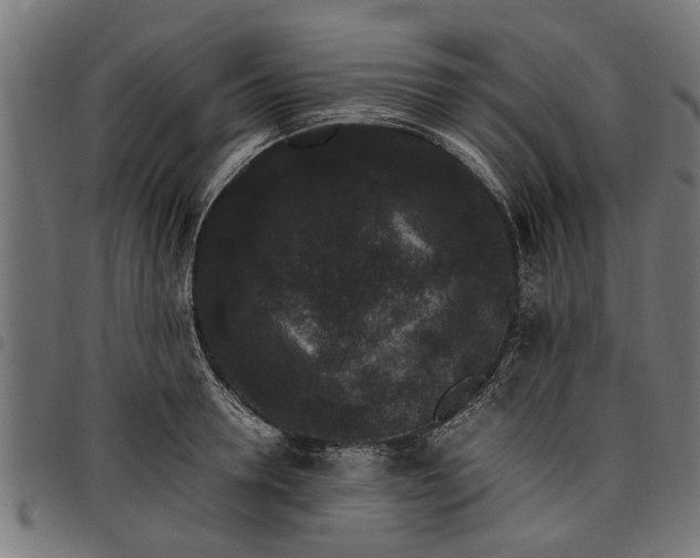 X0000097800946200803281032