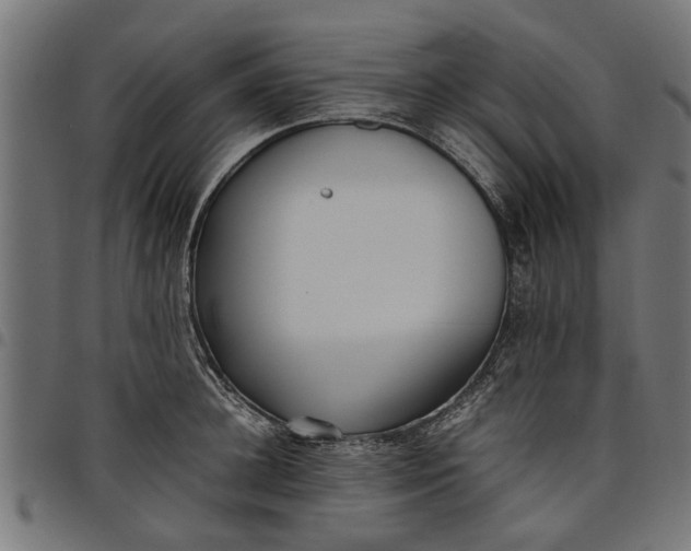 X0000097800948200803281032