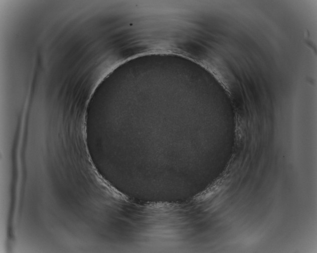 X0000097800950200803281032