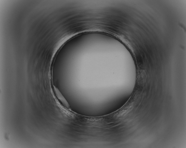 X0000097800951200803281032