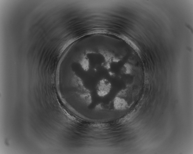 X0000097800953200803281032