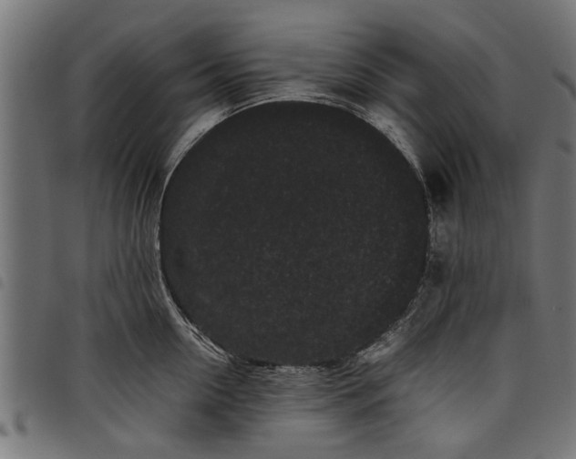 X0000097800954200803281032