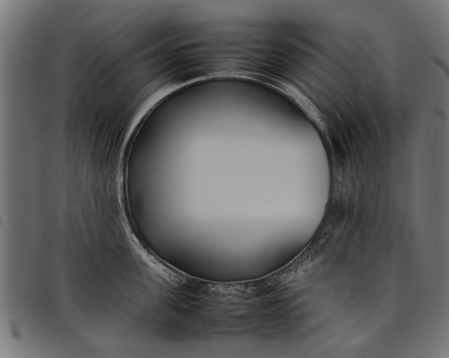 X0000097800955200803281032