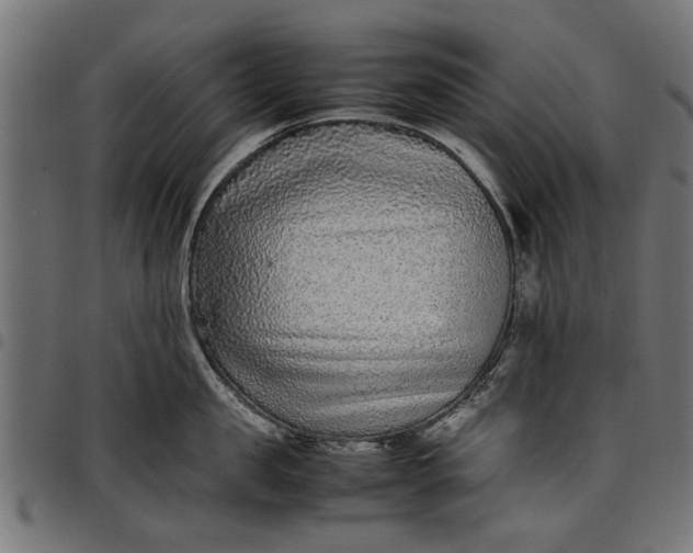 X0000097800957200803281032