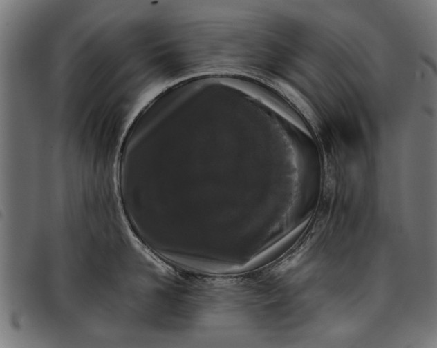 X0000097800958200803281032