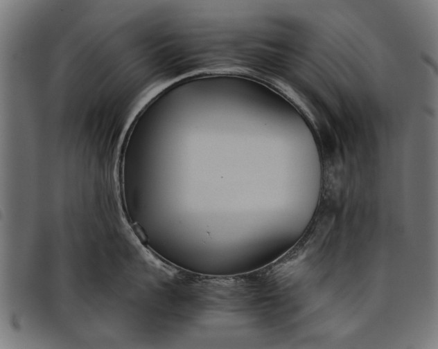 X0000097800959200803281032