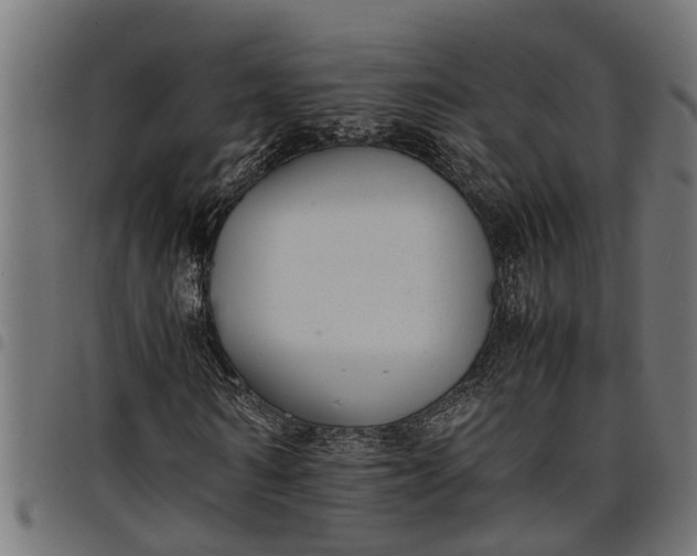 X0000097800962200803281031