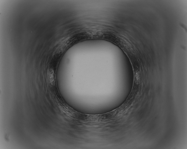 X0000097800963200803281031