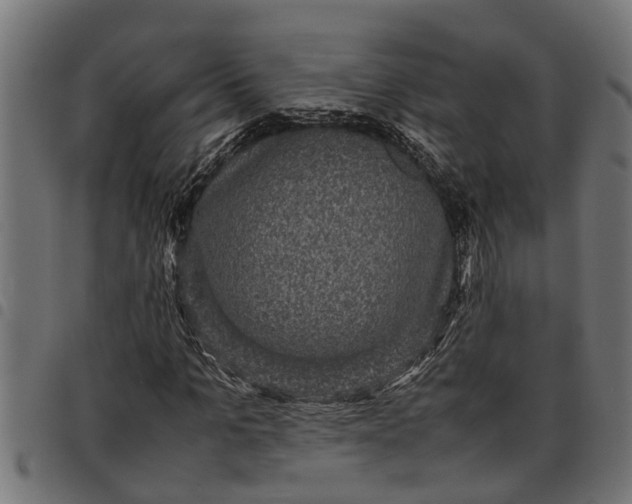 X0000097800965200803281031