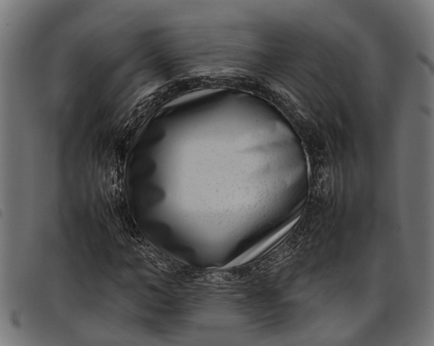 X0000097800966200803281031