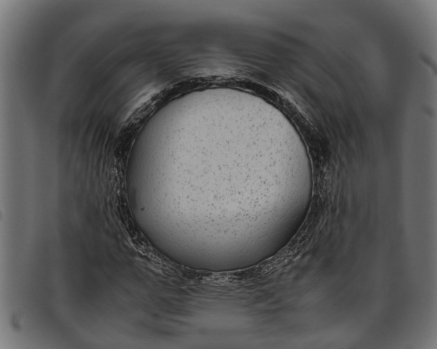 X0000097800967200803281031