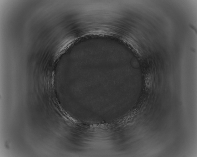 X0000097800968200803281031