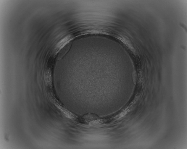 X0000097800969200803281031