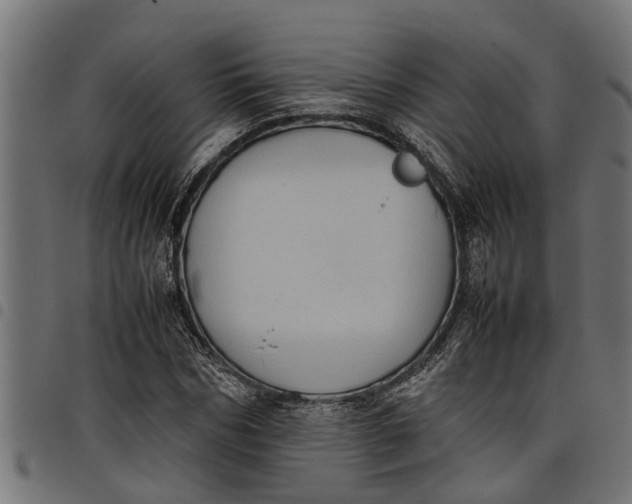 X0000097800970200803281031