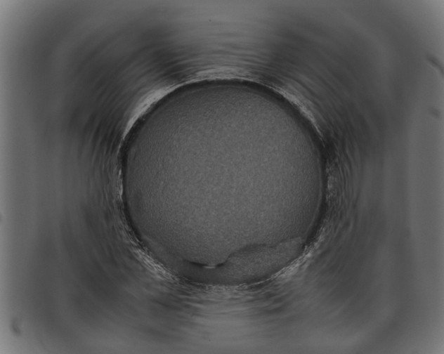 X0000097800973200803281031