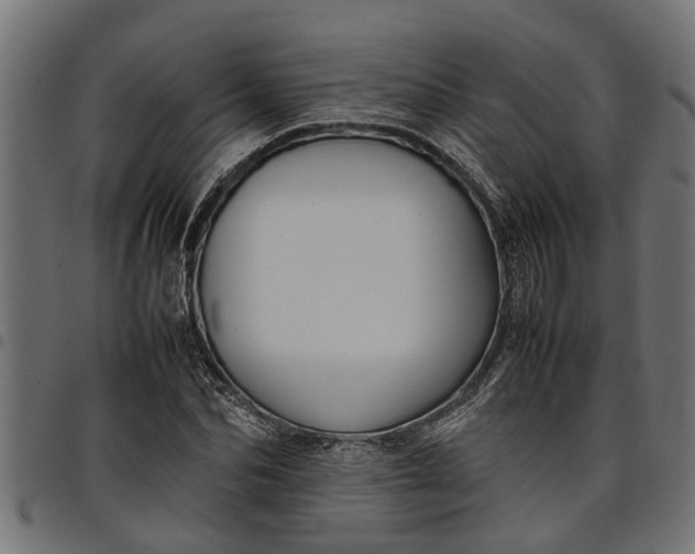 X0000097800974200803281031