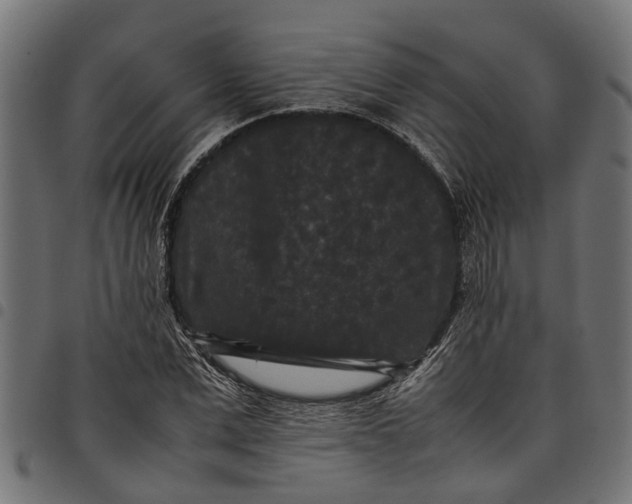 X0000097800975200803281031